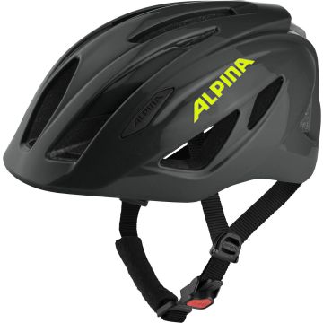 ALPINA PICO FLASH